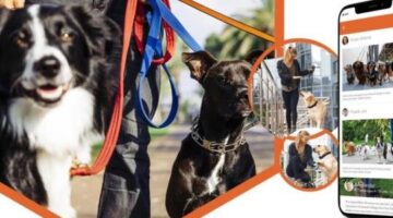 Launch an Uber-like app for dog walkers & offer the best dog care services