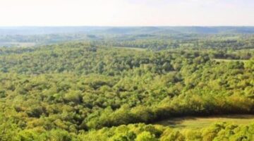 Welcome Ozark Safe Haven – Silent Hill Farms