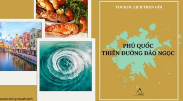 Trọn Gói Phú Quốc 3N2Đ [Vinwonders + Safari] – Tour Riêng
