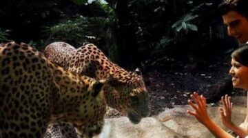 Night Safari Singapore