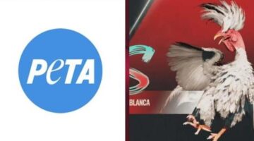 PETA Is Urging Ubisoft To Replace Cockfighting Game in Far Cry 6