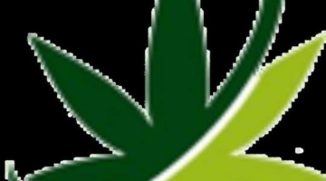 Order weed online Uk | Diligentplug is the best place to buy weed online uk