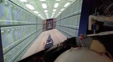 Scientist Who Trained Rats to Play “Doom II” Says He May Start Twitch Channel