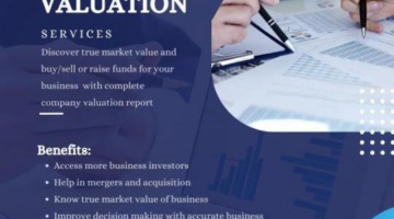 Top Business Valuation Services – Company Valuation – IndiaBiz
