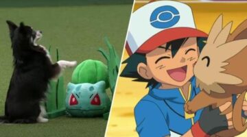 Want to see a Pokemon routine at the Crufts dog show? Of course you do