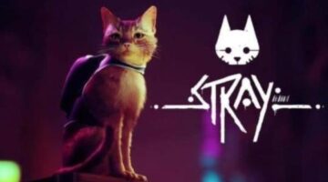 ESTNN Stray Review – 9 Out of 10 Cats, a Meowsive Achievement