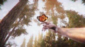 The Forest Cathedral Explores Man-Made Horrors This Fall