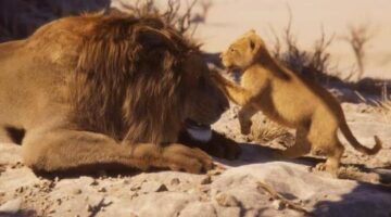 Take a look at the latest Unity Engine Real-Time Tech Demo, Lion