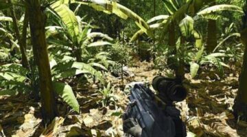 The real cost of running Crysis in 2007, upgrade by upgrade