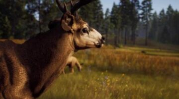 Way Of The Hunter Review (PS5) – Accessible Hunting Sim Almost Shoots Itself in the Foot – PSU