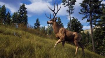Way Of The Hunter Review (Steam) |GLG