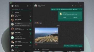 Native Windows app finally no longer needs WhatsApp users to connect phone