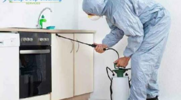 Need for Residential Pest Control Services in Gurgaon