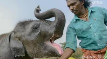 The Elephant Whisperers Trailer| LeisureByte