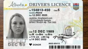 Alberta Fake Driver’s License