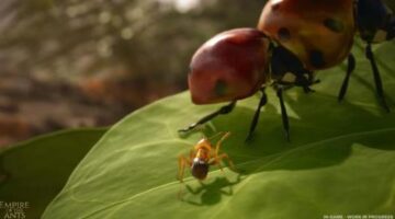 Empire of the Ants unveiled for 2024 release on PC and console