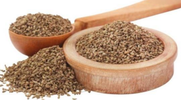 Where Can I Purchase Bulk Ajwain Online