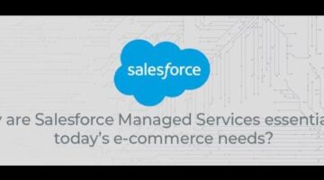 Why are Salesforce Managed Services essential for today’s e-commerce needs? – Innovadel