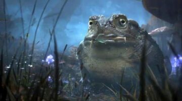 Fable 4 will be “light-hearted”, “British”, and out before Elder Scrolls 6