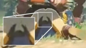 Tears of the Kingdom Fans Think They See Link’s Well-Endowed Package