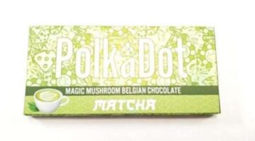 Buy matcha mushroom chocolate bar | Cheap Dark Net Market