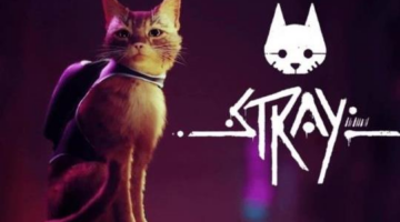 Catching up with BlueTwelve and the world of Stray, right meow