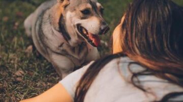 Expert Parenting Tips Every New Pet Parent Should Know