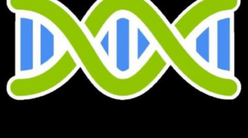 Open Source Business Intelligence – Helical Insight