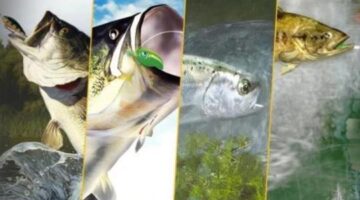 Unheard of: Best PS2 Fishing Games