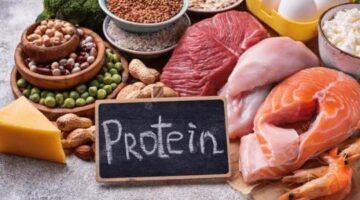 Everyone Must Know About Ways To Increase Your Protein Intake