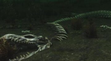 The Elder Scrolls 6 Shouldn’t Ignore a Huge Chunk of the Map Like Skyrim Did