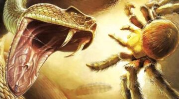 10 Underrated Wii Games You Should Play