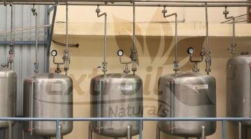 Herbal Extracts Manufacturer & Supplier| Botanical Extracts