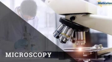 Innovative Research in Academia Boosting Growth in the Global Microscopy Market