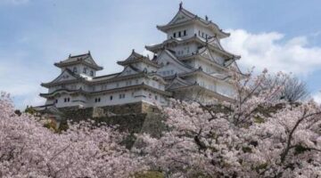 Japan Airlines Offers Free Domestic Flights for International Travellers   – The Leaders Globe Media