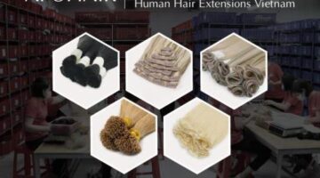 Apohair | #1 Vietnam Hair Factory – Wholesale Raw Hair Vendor Vietnam