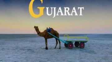 Gujarat Tour Packages from Rajasthan – Indian Temple Tour
