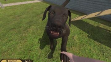Pets Hotel Review | TheXboxHub