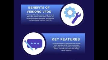 Veikong Infographic
