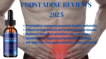 Latest Supplement Insights