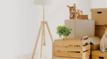Trusted international pet relocation services – HappyLocate