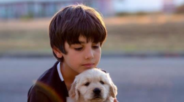 The Impact Of Animal-Assisted Therapy In Autism