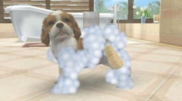Nintendo Might Bring Nintendogs Back With Switch 2