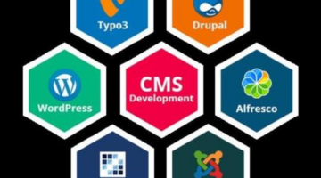 Custom CMS Development in UK – KiwiCommerce