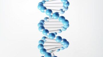 Chemical Structure Search Services | Molecular Structure Search | IIP Search