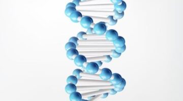 How to Search Chemical Structure for a Patent | IIP Search