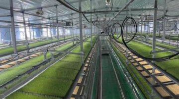 HydroFodder – Hydroponic fodder growing system