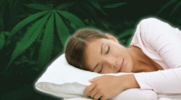 Can CBD Help You Sleep Better? Let’s Find Out
