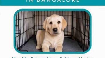 Dog Boarding Services in Bangalore