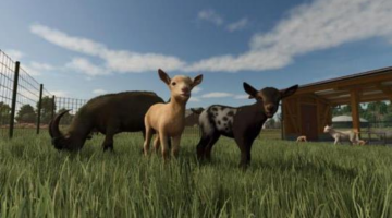 Game Pass Adds 8 More Games Soon, Including Multiple Day-One New Releases